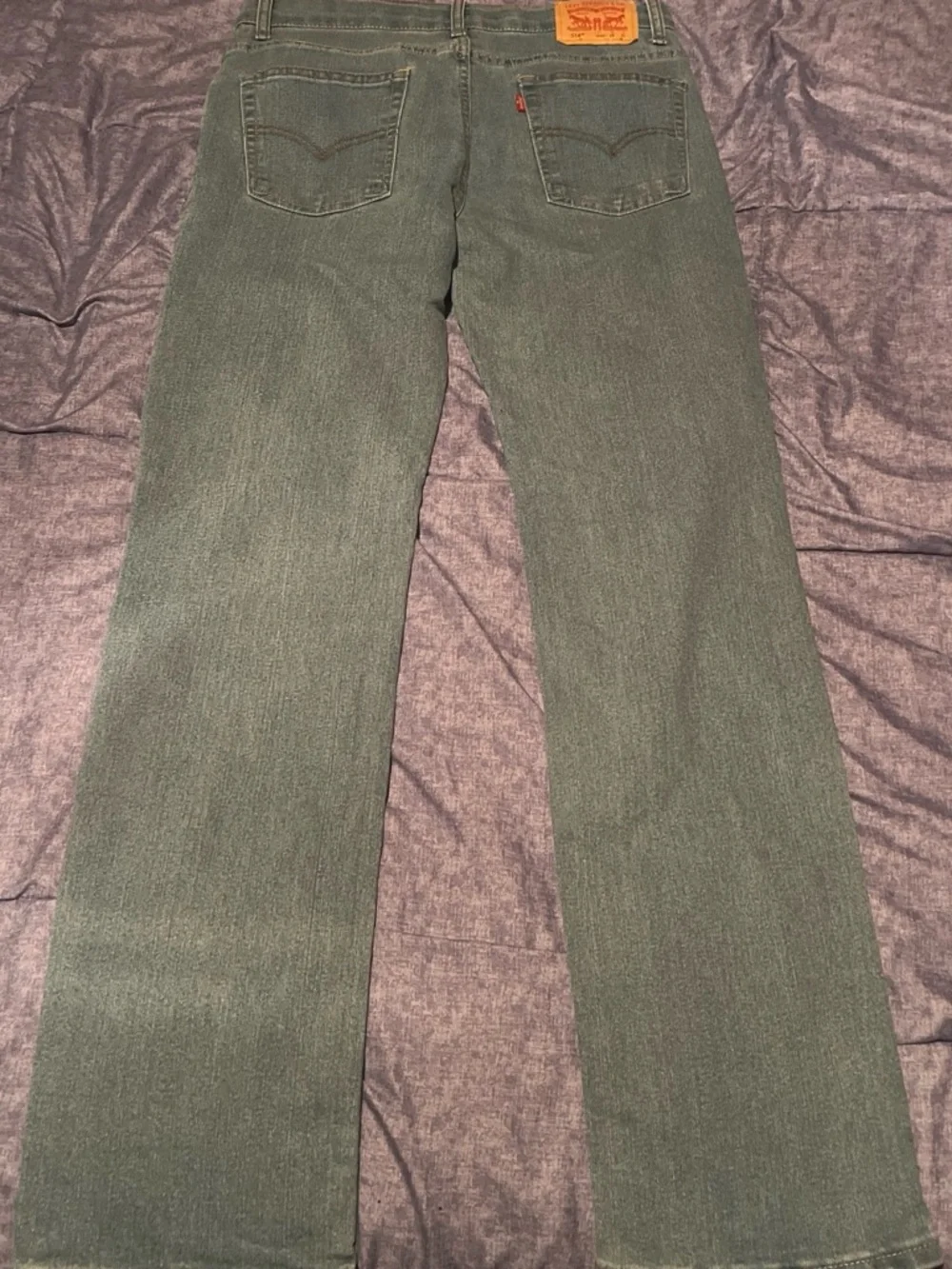 Levi's Slim Straight Jeans in Faded Green